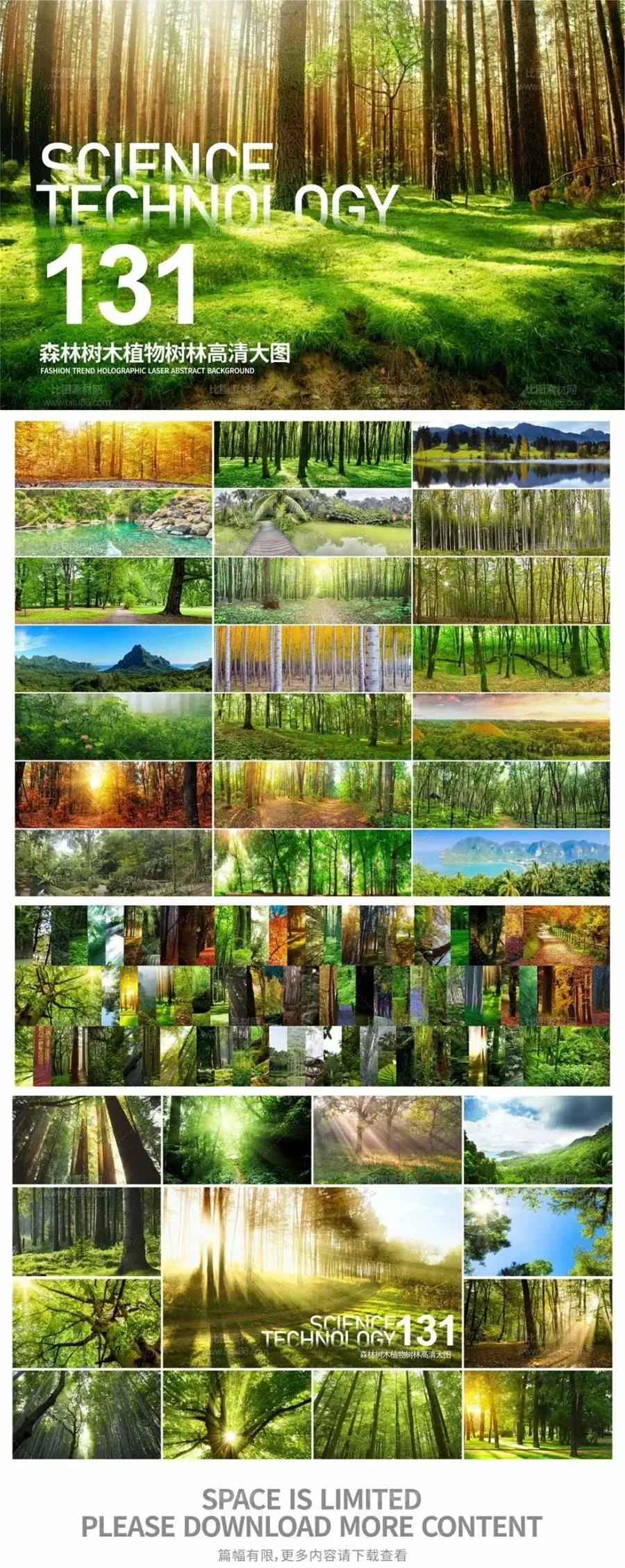 131张森林树木植物树林高清大图JPG格式-爱设计爱分享c