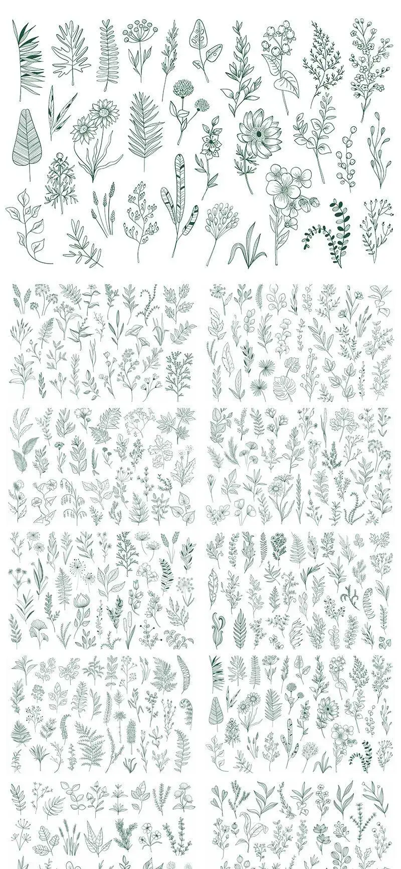 318款简约手绘线条植物树叶AI+PNG格式-爱设计爱分享c